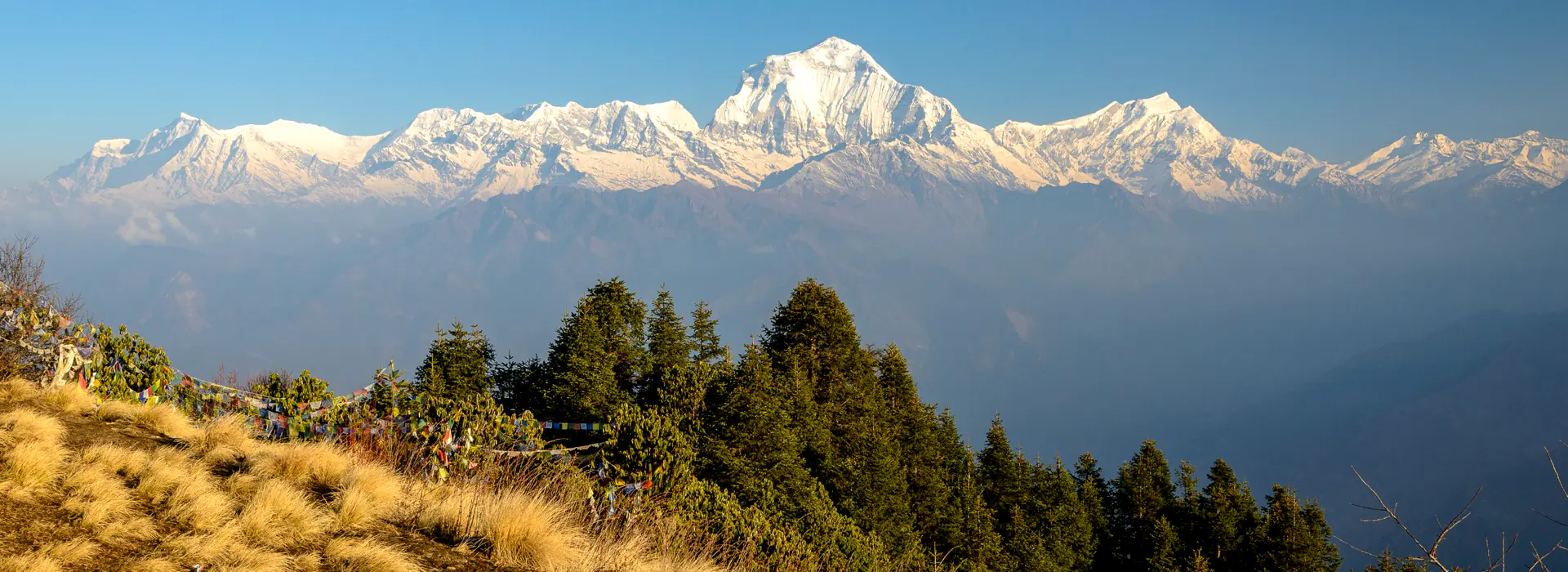 Annapurna View from Ghorepani Poon Hill