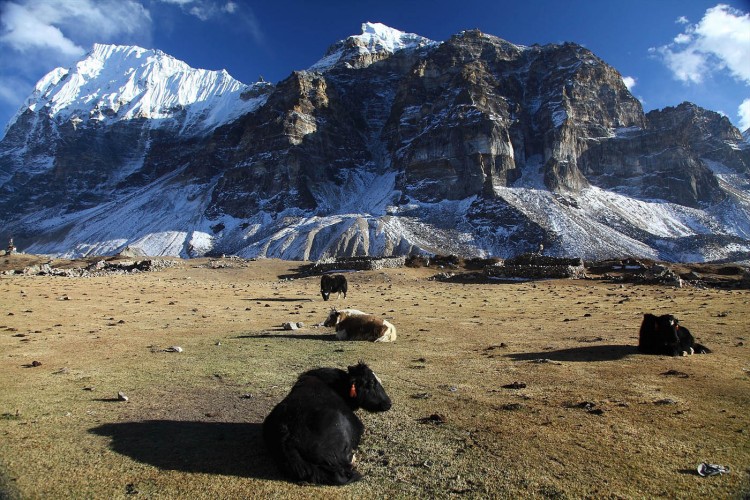 Kanchenjunga Base Camp Trekking