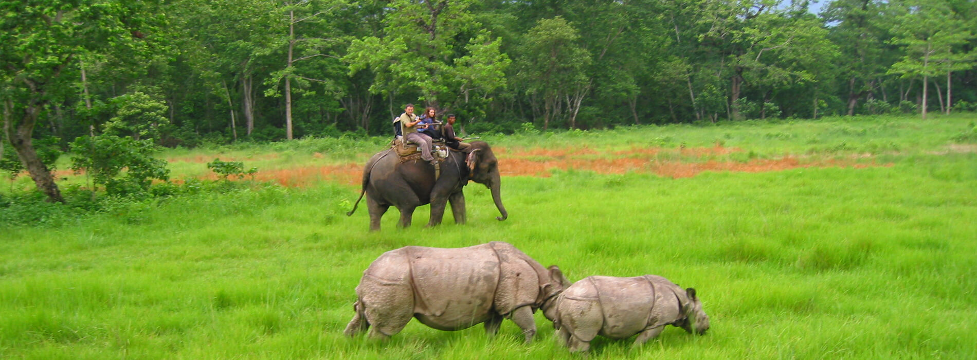 Chitwan Jungle Safari Tour