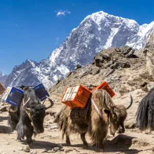 World Highest Base Camp Trek 2 Gorak shep to pangboche