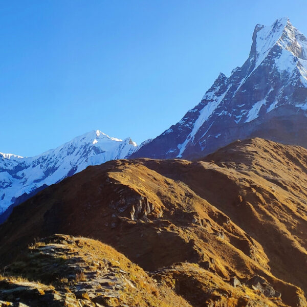 Mardi Himal Trek