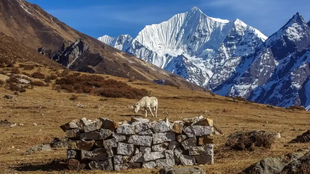 Tamang Heritage Trek 2 Tamang Heritage Trek