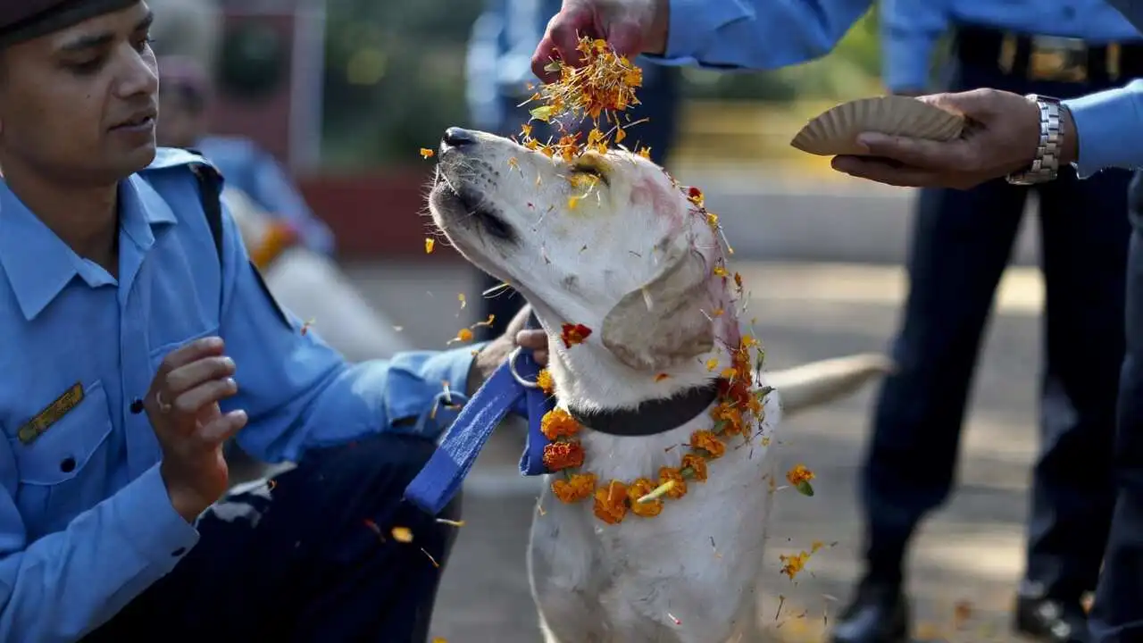 Tihar Festival in Nepal