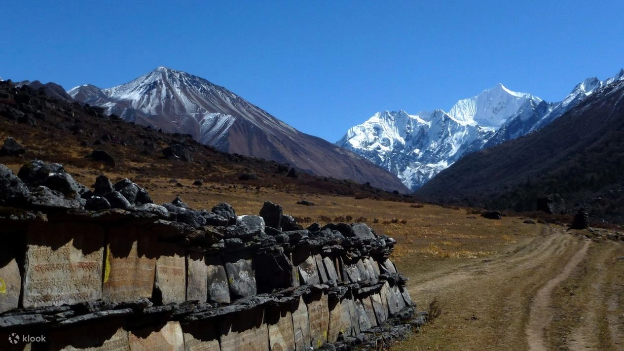 Langtang to kyanjin gompa trail