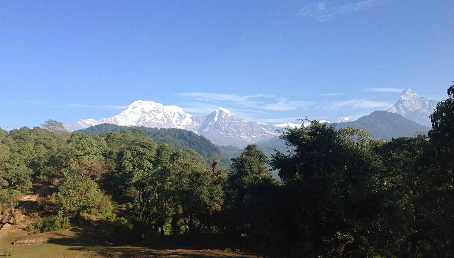 mardi-himal-trekking-way-in-spring season