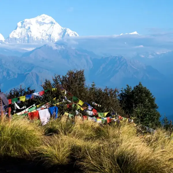 Poon hill trekking