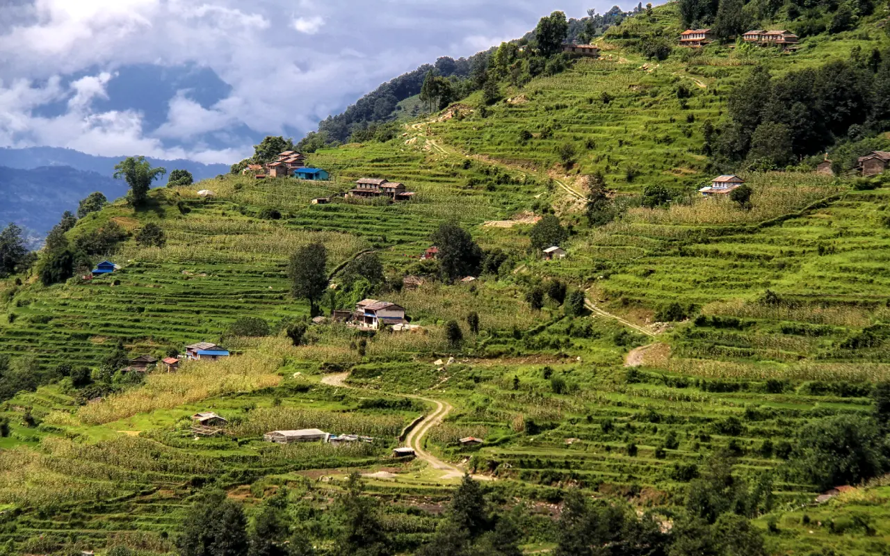 Scenic Trail To Ghandruk Village Through Lush Hills And Terraced Fields
