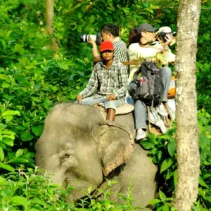 Chitwan Elephant Safari