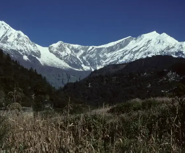 Dhaulagiri Base Camp Trekking