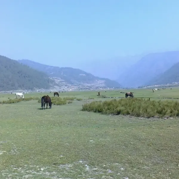 Dhorpatan hunting reserve