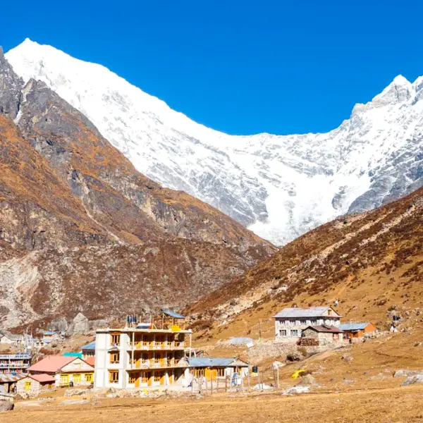 Langtang Helicopter Tour