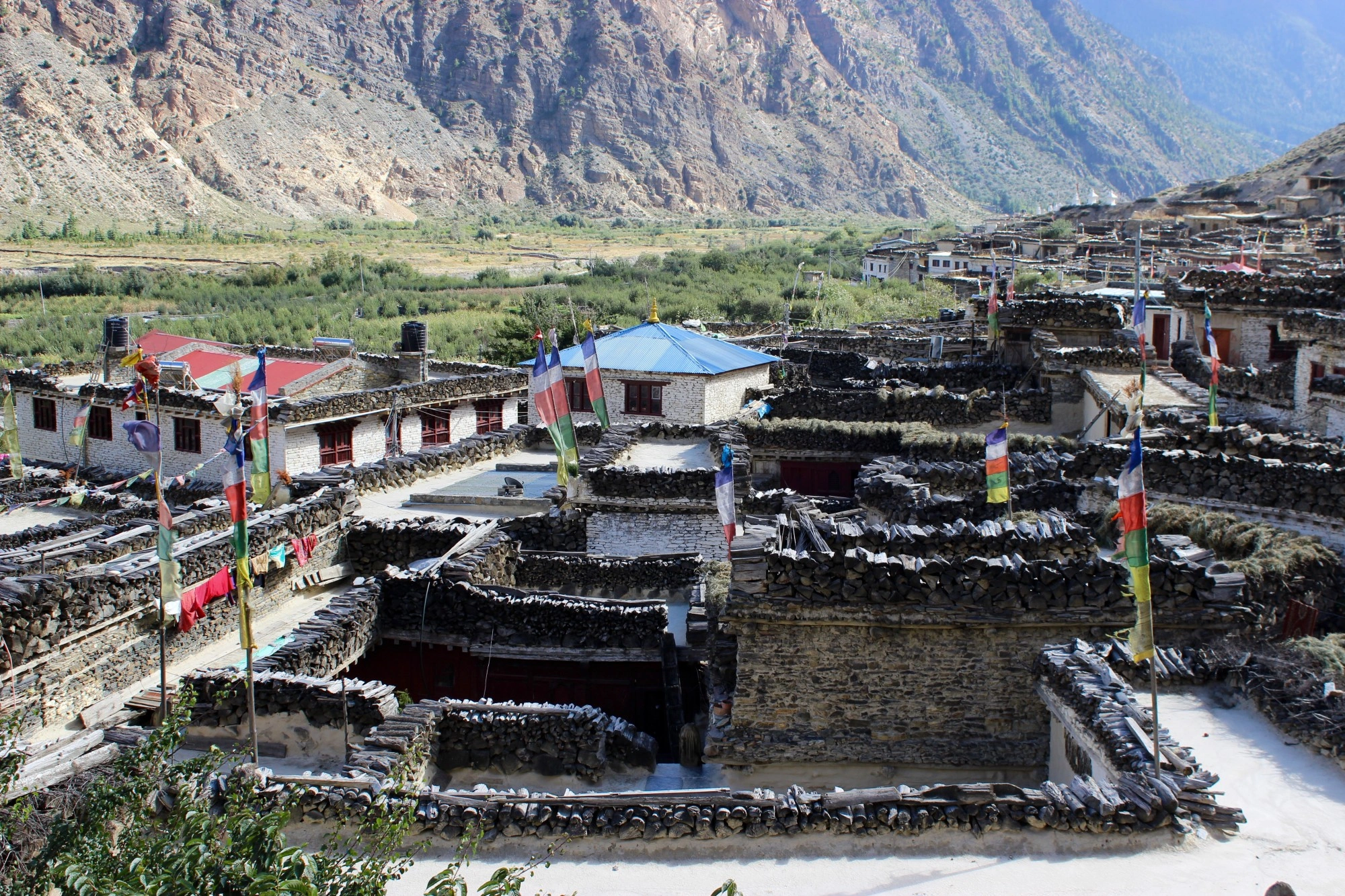 marpha-lower-mustang