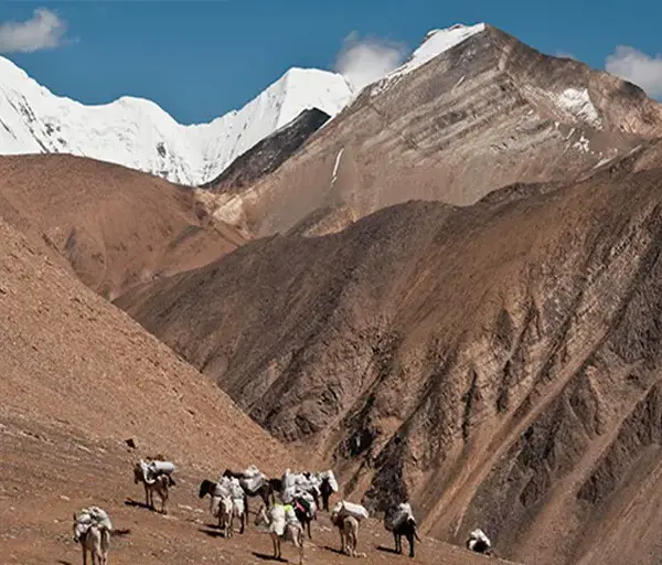 upper-dolpo-trekking