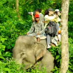 Safari Gajah Chitwan