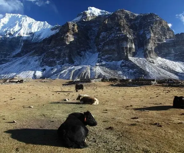 Kanchenjunga Expedition