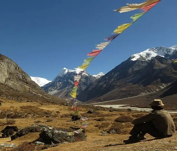 Langtang-Valley-Panorama