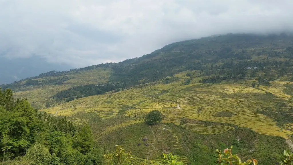 baseri-village