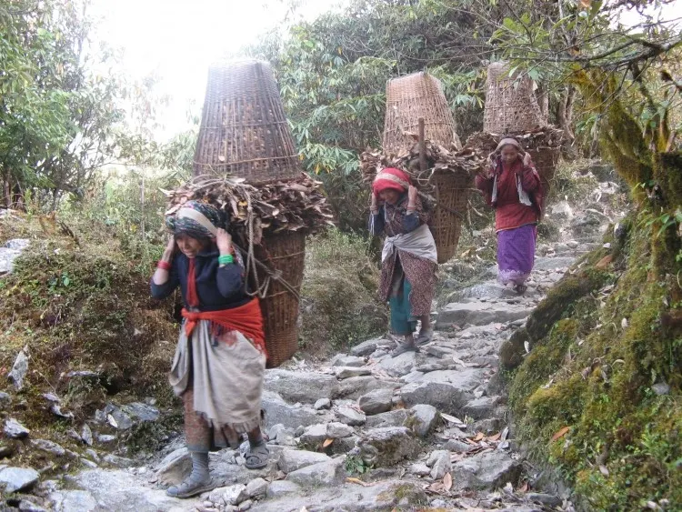 jalma lokal mawa dahan keur seuneu dina ganesh himal Trek