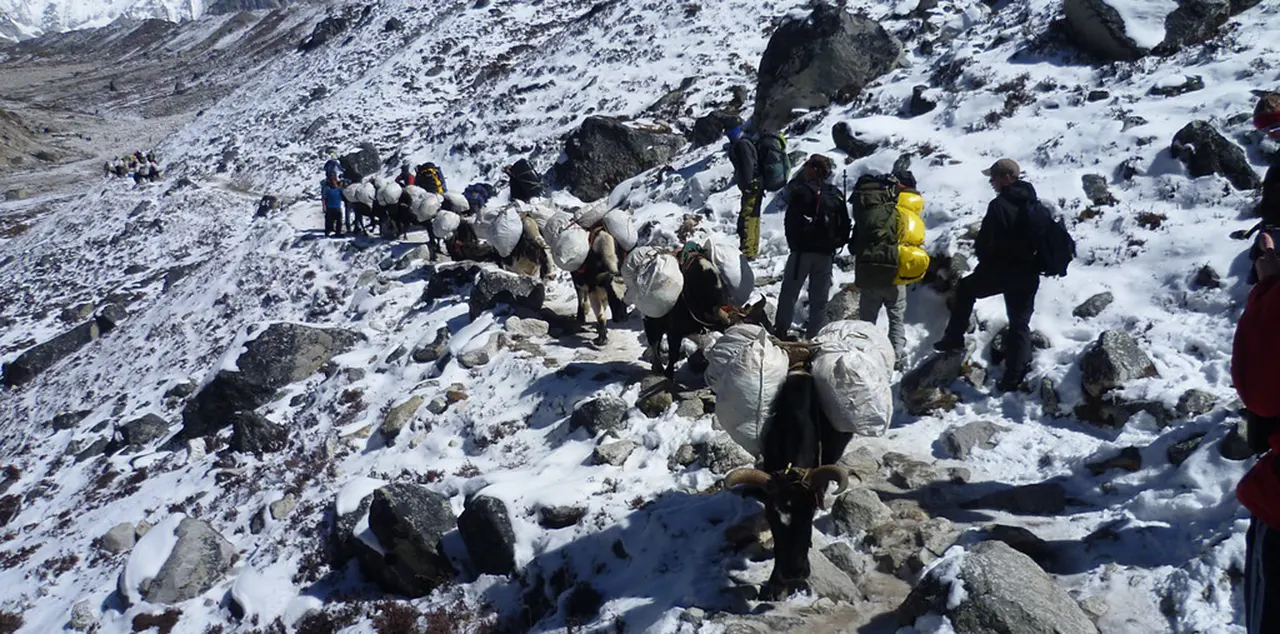 Complete Everest Base Camp Trek Cost Guide