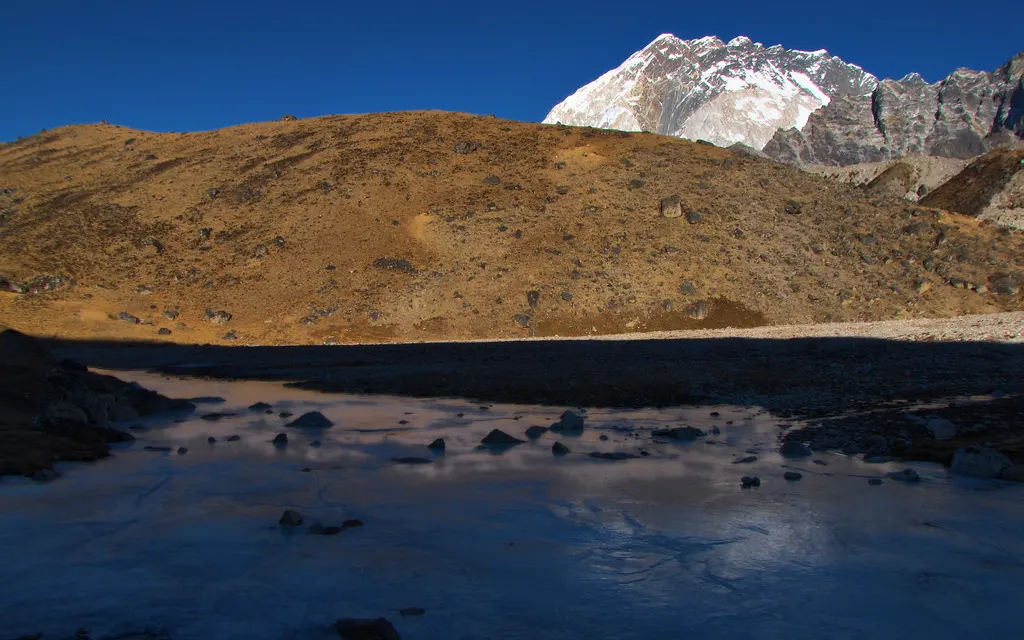 Everest Base Camp Trek Flora and Fauna Guide: Wildlife, Birds, Flowers, Sherpa Culture & Monasteries Along the Trail 2 Everest Flora And Fauna