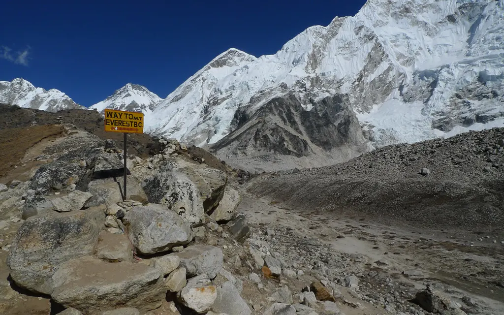 Everest Mountain Wildlife