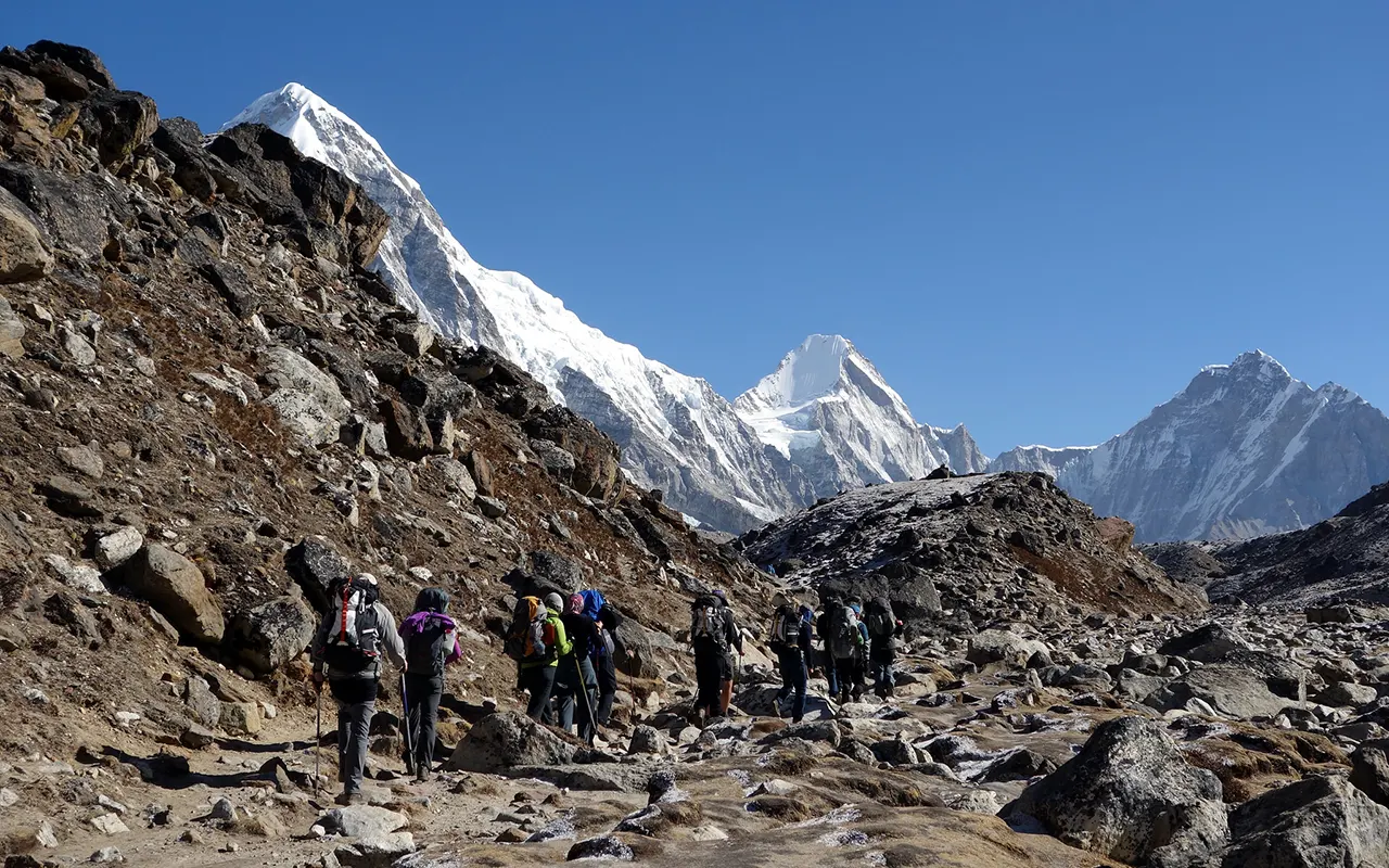Everest Base Camp Trek Flora and Fauna Guide: Wildlife, Birds, Flowers, Sherpa Culture & Monasteries Along the Trail 6 Everest Trek Wildflowers
