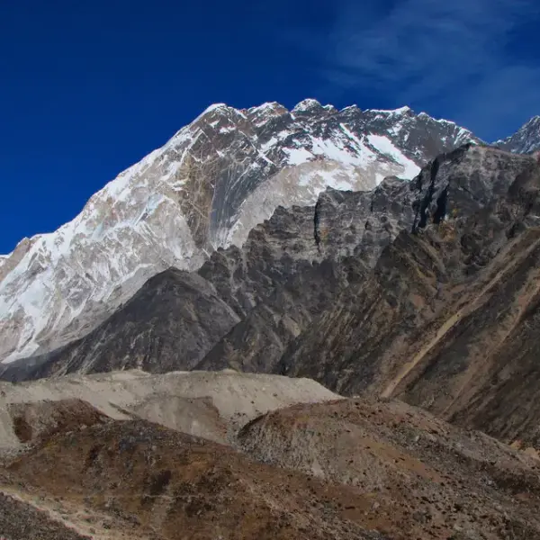 Himalayan Birds Of Everest